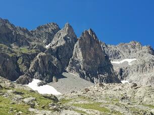 Envers du Vaccivier Envers du Vaccivier